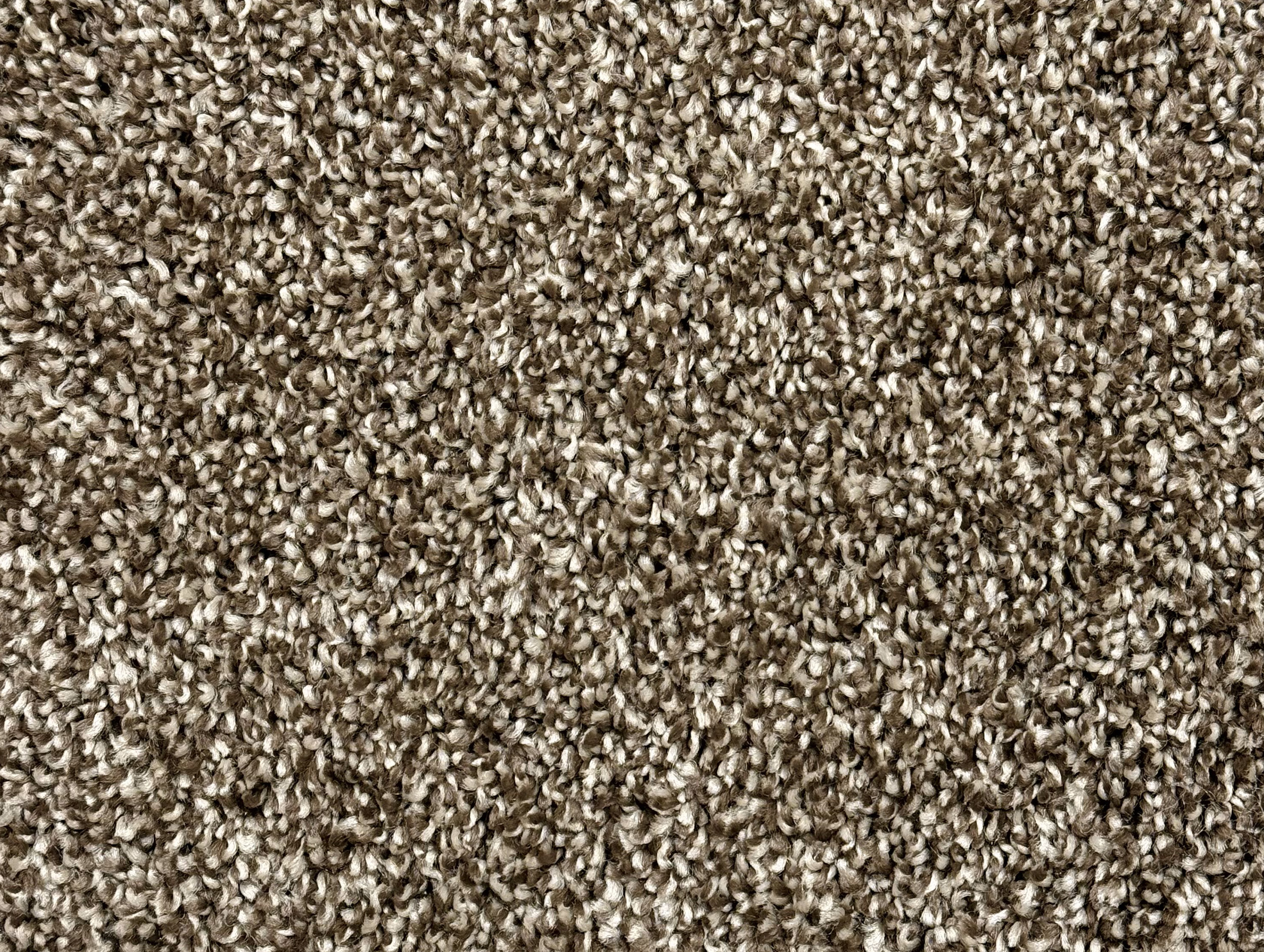Cape Cod: Coffee Bean 