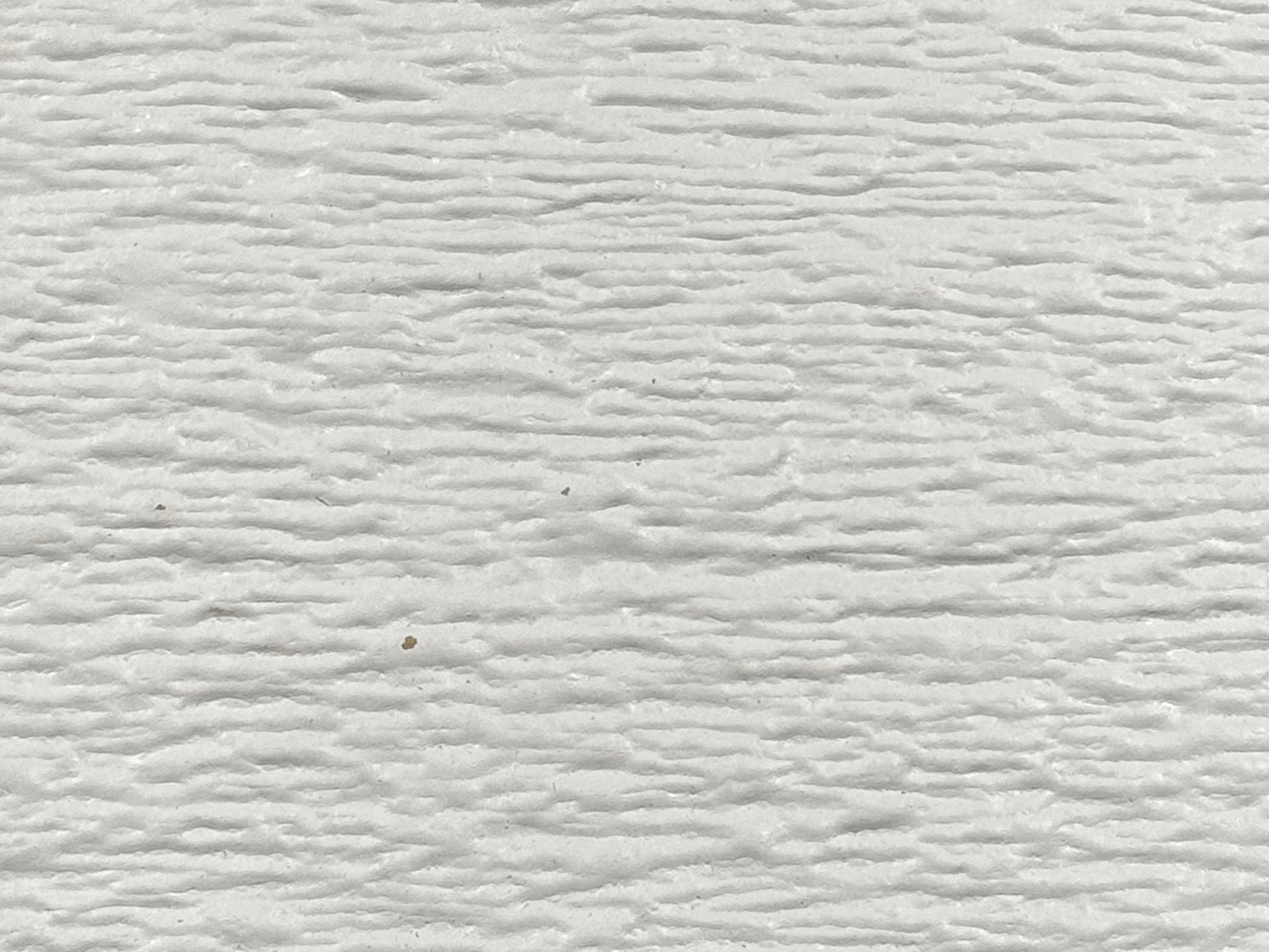 Snowscape White